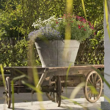 Badersee Грайнау